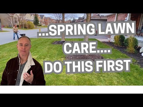 FIRST STEPS: Early Spring Lawn Care - How to Prepare Your Lawn for a Lush, Green Summer