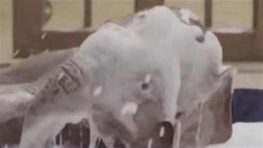 Baby elephant bubble bath