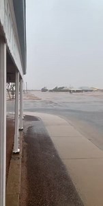 162K views · 1.8K reactions | Birdsville is seeing some amazing rain! What does this mean? Desert flowers, Bird life and regeneration of our wonderful desert flora and fauna! | Birdsville Hotel | Facebook