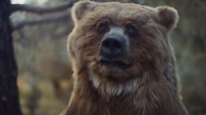 Geico - Fast Forward: Forest