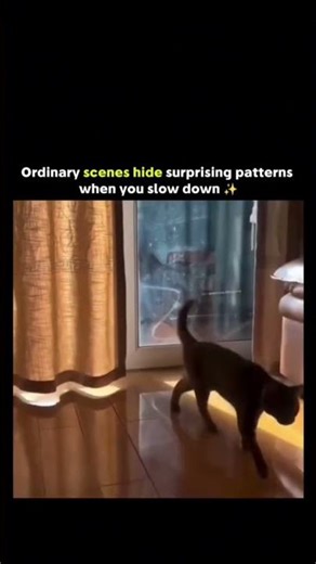 The Hidden Matrix of Everyday Life 👁️✨