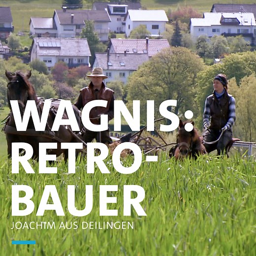 236K views · 3K reactions | Landwirtschaft nur mit Tieren und 100 Jahre alten Geräten. Joachim aus Deilingen wagt das Experiment. | Landesschau Baden-Württemberg | Facebook