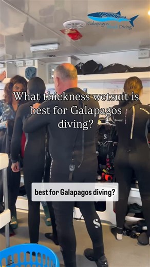 Galapagos Citizen Science Scuba Dive Expeditions on Instagram: "🌊 What thickness wetsuit is best for Galapagos diving? A 7mm wetsuit is your go-to for most dives, but for those cooler spots, layering up with a dive skin, hood, or neoprene vest can make all the difference! 🦈✨ 🌡️ Stay warm, dive deeper, and experience the magic of the Galapagos in comfort. 🚨 Only a few spots left for our 2025 liveaboards—DM us your email now to secure your adventure! 📩 #Gala