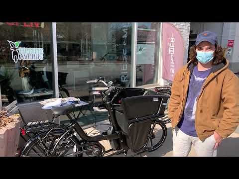 Urban Arrow Shorty Overview