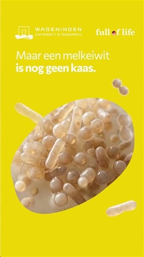 Kaas zonder koe | WURtube #WageningenUniversity #fulloflife