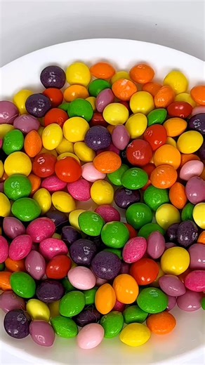 Cute Cat Funny Clips