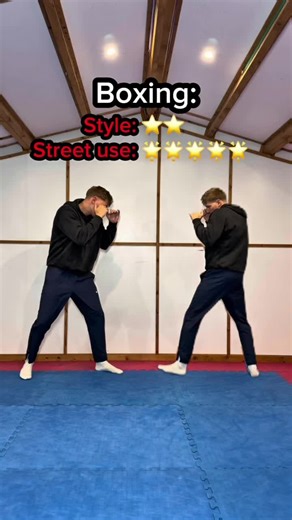 Ranking Martial Arts for Street Use: The Best Techniques
