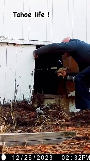 4.2K views · 57 reactions | Balls of steel has entered the chat. | Mr.B | Facebook