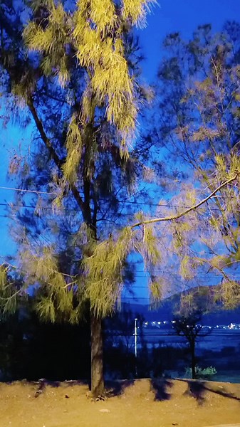 Dragonfly diffuser Difusores de aire Toyota celica #bodykit #rocketbunnyBolivia #dragonfly_diffuser #dragonfly_diffuser #cochabamba_bolivia #BIGWINGBOLIVIA muy pronto