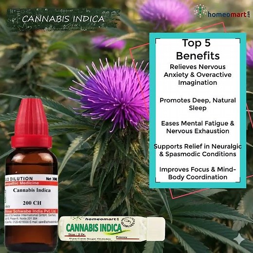 🌿 Top 5 Benefits of Cannabis Indica in Homeopathy | Natural Relief for Mind Sleep & Nerves #dilution