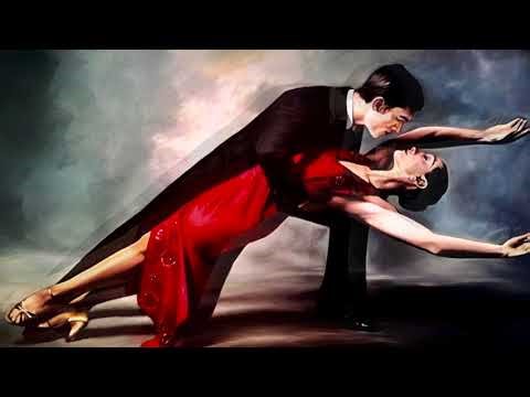 #shorts Happy Birthday, Tango