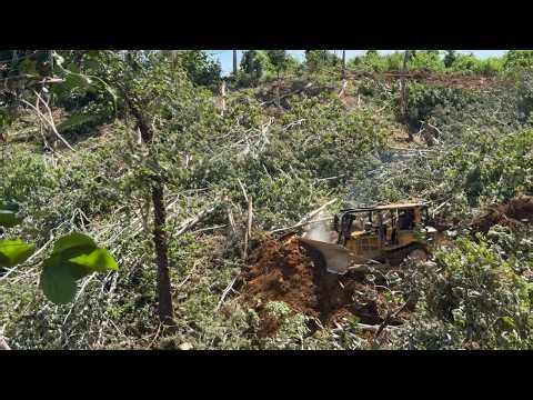 Hill Logging Process With CAT D6R XL Bulldozer That Saves Lives in Dangerous Areas