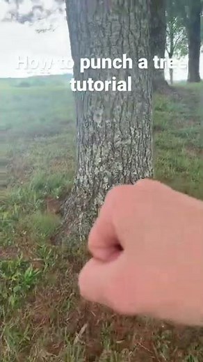 How to punch a tree