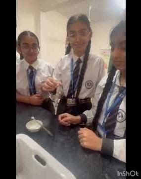 ✨ Science Activity Highlight – Learning by Doing! 🔬
