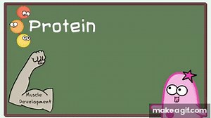 Biomolecules (Updated) on Make a GIF