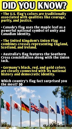 You’ve Seen These Flags, But Do You Know What They Mean? 👀 #DidYouKnow