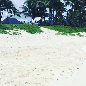 Great day at Kailua ❤🌴🌊 | Hawaiian Islands