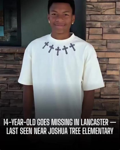 Search for Missing 14-Year-Old Ronald Pigee in Lancaster