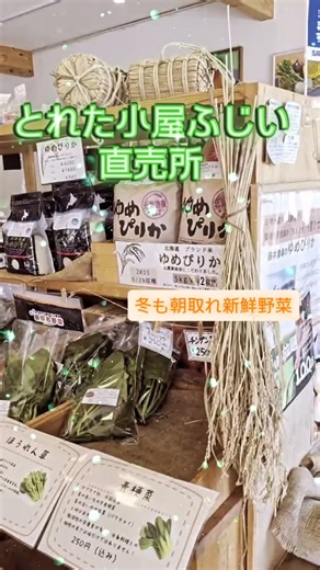 とれた小屋ふじい農場 on Instagram: "こんにちは♪ とれた小屋ふじい直売所 スタッフのぺんぺんです🐧 やっと雪は止みましたがあちこち雪山で道が狭くなったりボコボコ•ツルツル路面で大変ですね。 そんな中でも営業しているとれた小屋ふじい。 直売所&レストラン、やってます！ とれた小屋ふじい農場 直売所 10:00〜15:00 011-773-5519 ファームレストラン ベジタベーレ 11:00〜15:00（L.O→13:30） 011-792-0330 電話予約•ホットペッパー予約受付しております。 ※予約制ではありませんがお席確保の為、予約をオススメしております。 #とれた小屋ふじい農場 #新鮮野菜 #店内ツアー #ハーフビュッフェ 札幌グルメ"