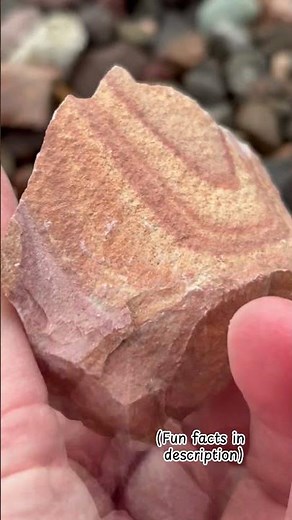 Have you ever seen Wonderstone?! 🤯💎 It’s actually a type of…#Rockhounding #Geology #Gemstones