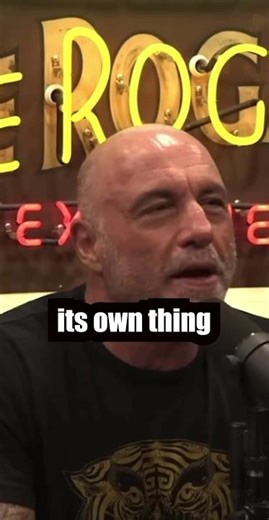 Joe Rogan DEFENDS AI Music Against Bret Weinstein