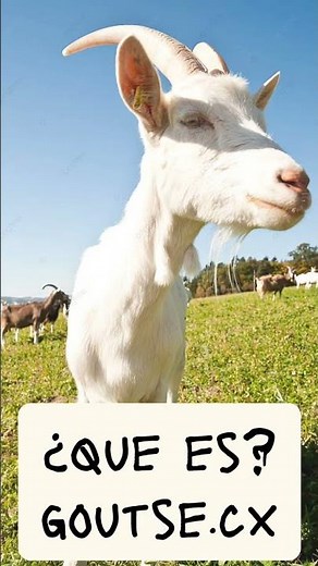 ¿que es goatse.cx?