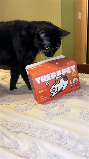 Cat diffuser that will change everything!!#recommendations #cat #urine ##pets @TherapetMD