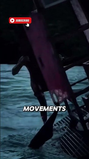 The Shallows – Blake Lively’s Real Reef Injuries || #theshallows #blakelively #movies