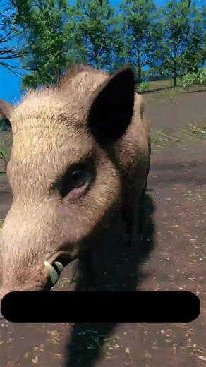 How The BoarBuster Trap Works 🤔#Facts #didyouknow #funfacts #historyfacts #interestingfactsforyou