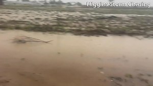 Flash flooding is occurring around Longreach, QLD today, following about 100mm falling since midnight last night. The 60mm since 9am makes it the wettest day since March 10th 2023 - breaking a run of 700 consecutive days without 50mm occurring. This also comes after Longreach recorded 32 days above 40ºc between December 23rd and January 31st. Video sent into HSC by Leanne. | Higgins Storm Chasing