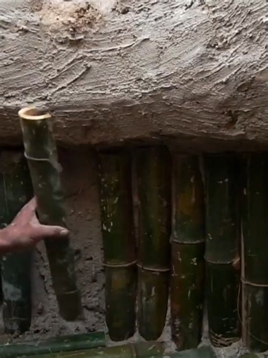 Building a Bamboo Shelter in a Tree - Survival Skills to Hide from Wild Animals