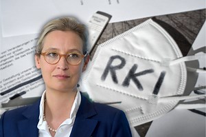 Könnte der AfD die Parteienfinanzierung entzogen werden?