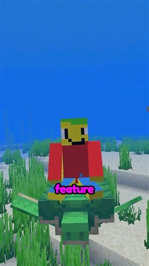 Turtles Secret Use