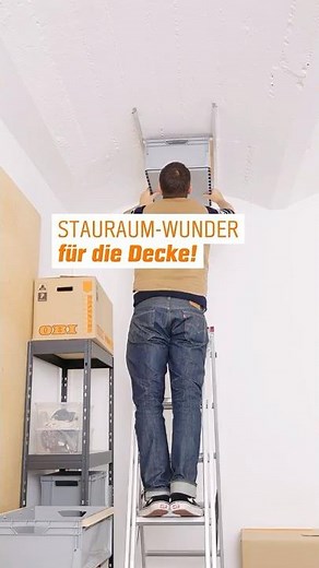 Storage space for the basement! 🔝