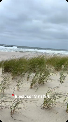 Island Beach State Park Nature Programs on Instagram: "⚠️ Hurricane Erin is on her way! 🌊 Take precautions and stay updated with official weather alerts. Please stay safe! According to NOAA’s National Weather Service, Hurricane Erin is expected to bring extremely rough surf and dangerous rip currents to all East Coast beaches this week. While Erin is not expected to make landfall in NJ, Island Beach State Park will most definitely see dangerous surf and above average wave heights. Temps should 