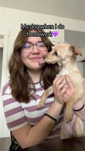 My homework buddy💜#trend #dog #school #homework #fyp #lipsync