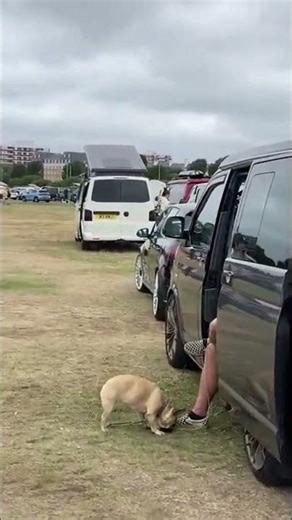 Only VW people understand this feeling… #vwt4 #vanlife #vwbeetle #shorts