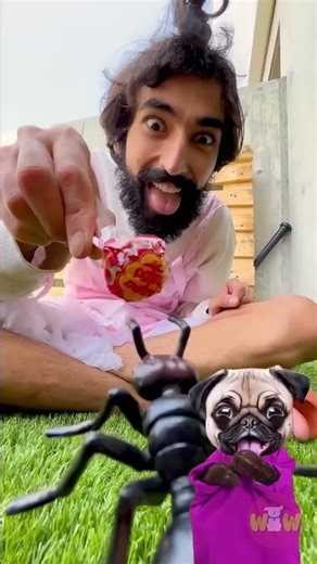 SEMUT DAN LOLIPOP: REAKSI LUCU ANJING! 🍬🐾