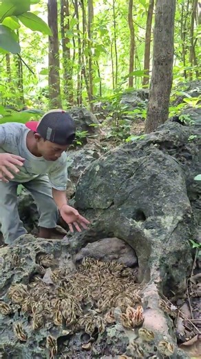 Wow! There Are So Many Chickens 🐔😲 | Amazing Farm Scene | Viral Video