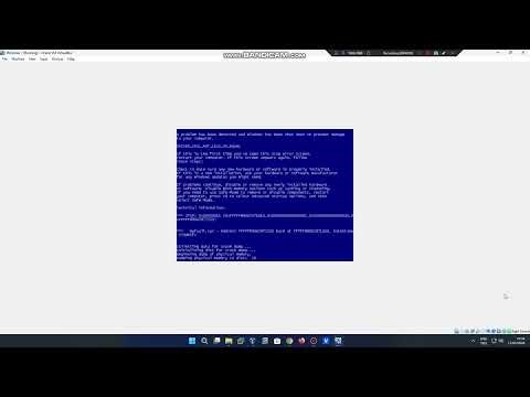 Windows 7 Has BSOD VM 5