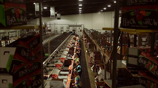 Operations – Dayka Hackett