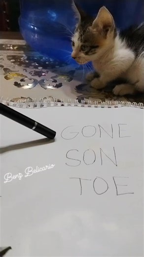 Benz Belicario on Instagram: "ingon si ma'am dawny basta letter O mahimong A 🤣 #tutorial #reading #funny #vibes"