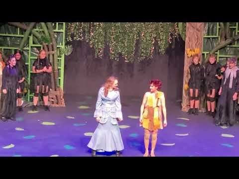 Tarzan, The Stage Musical Curtain Call