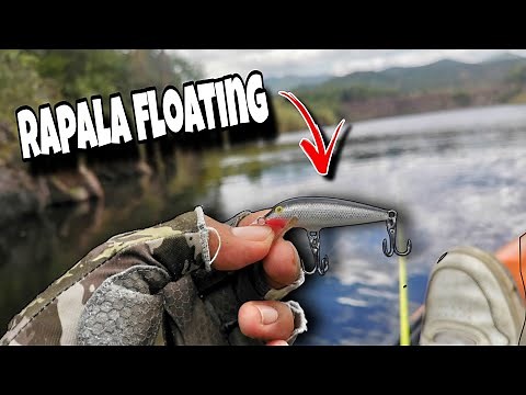 Cómo pescar con minnow | Rapala Original Floating | Este señuelo engaña a decenas de peces
