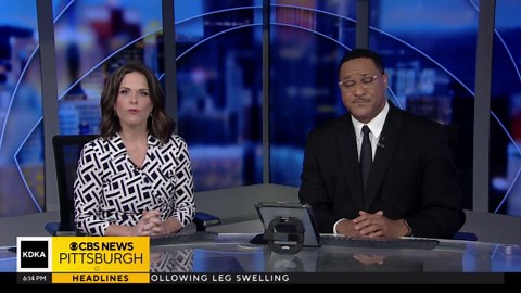 Pittsburgh expanding deer culling program to more parks