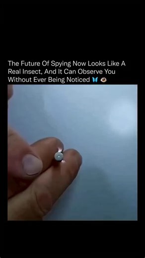 explains📚 on Instagram: "Tiny insect-like drones are the new face of surveillance. 🦋👀 Built with micro-motors, flexible wings, and advanced sensors, they look exactly like real insects—yet can record video, transmit audio, and move undetected. The future of spying is becoming smaller, smarter, and almost impossible to notice. 🤖🪶 #technology #innovation #futuretech #engineering #microdrones #ai #robots #futurism"