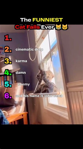 Cats vs Gravity: Funniest Falls Ranked #cats #cat #petsrule #catshorts #funny #memes #ytshorts #cute