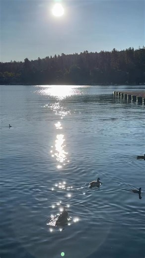 12K views · 478 reactions | Lake Arrowhead Village on Reels | Facebook