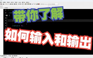 C语言：如何输入输出数据