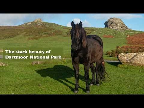 Dartmoor National Park